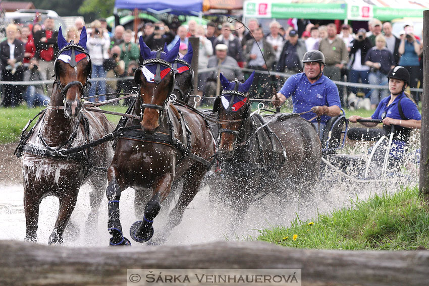 Čtyřspřeží v maratonu