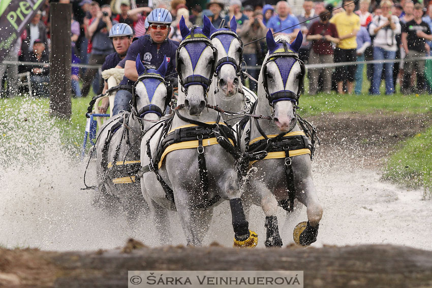 Čtyřspřeží v maratonu