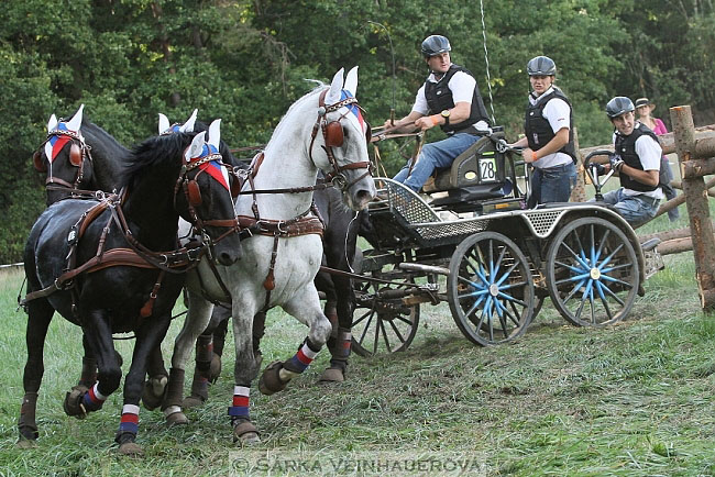 Čtyřspřeží v maratonu