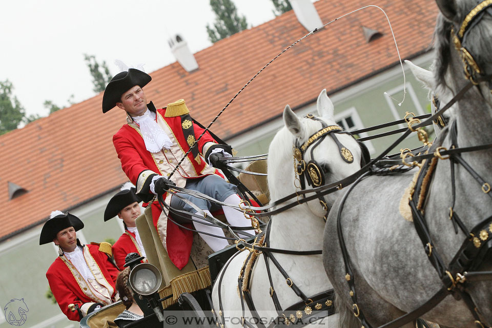 Den starokladrubského koně