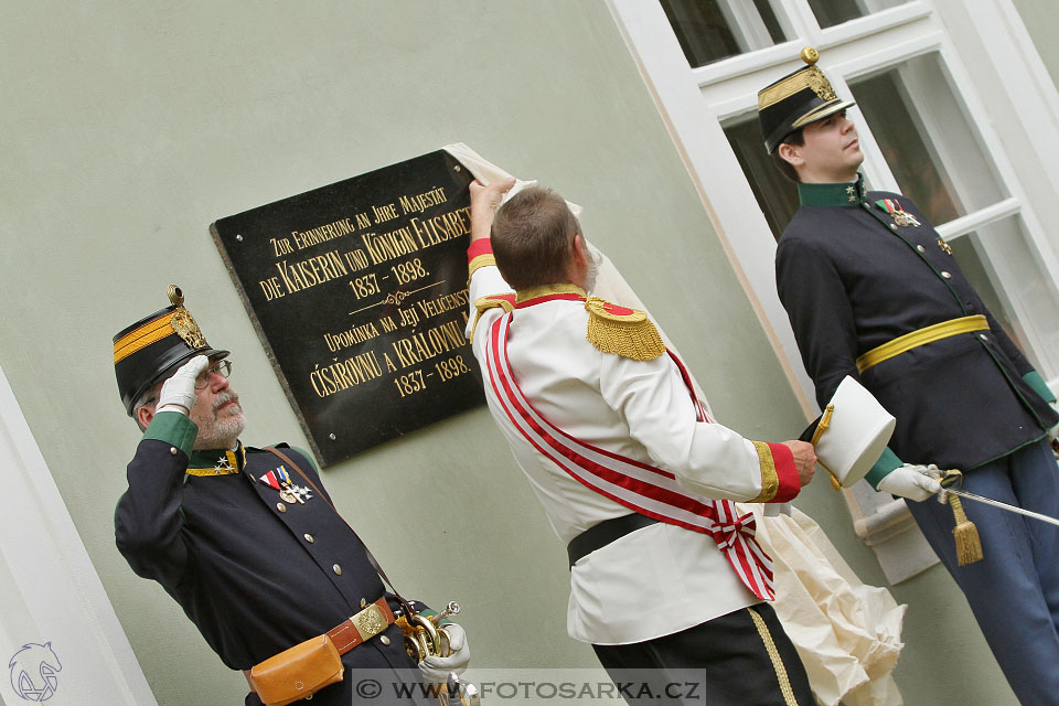 Den starokladrubského koně