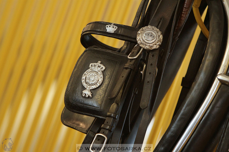 Den starokladrubského koně