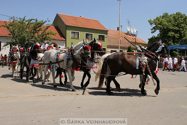 Desetispřeží