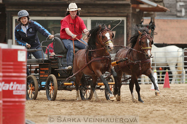 Dvojspřeží pony