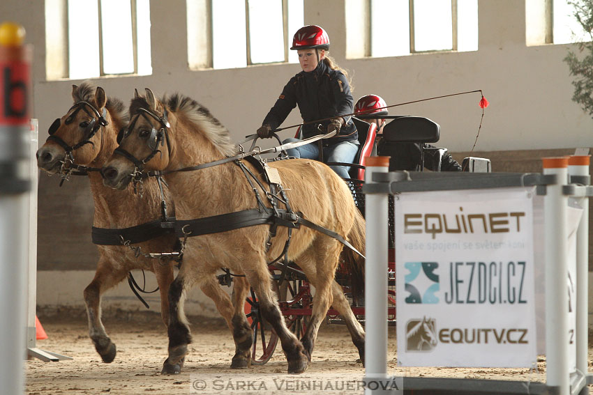 Dvojspřeží pony