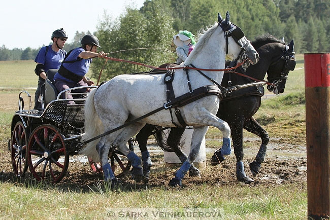 Dvojspřeží pony