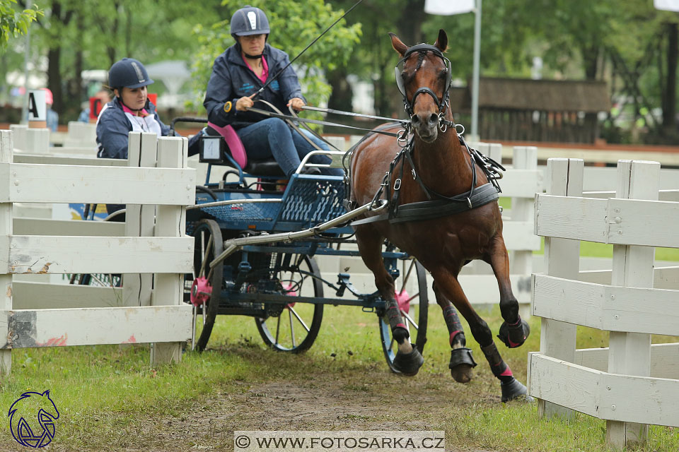 Fábiánsebastyén (HUN)