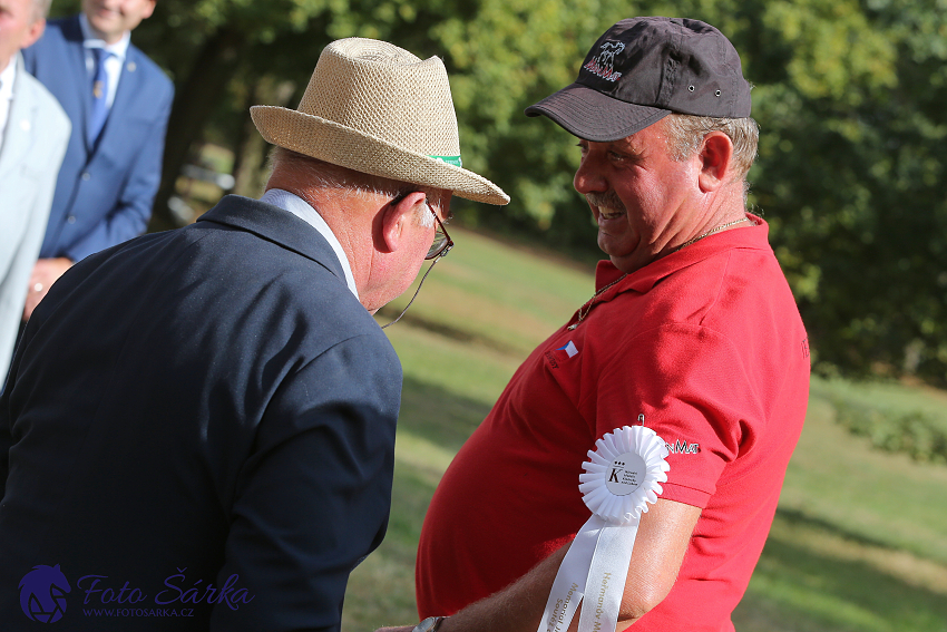 Heřmanův Městec 2018 - dekorování 