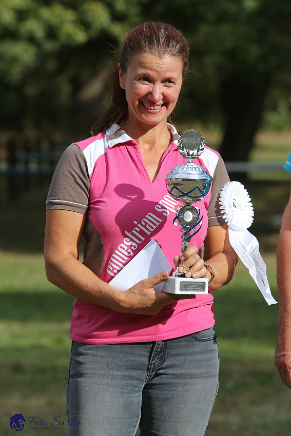 Heřmanův Městec 2018 - dekorování 