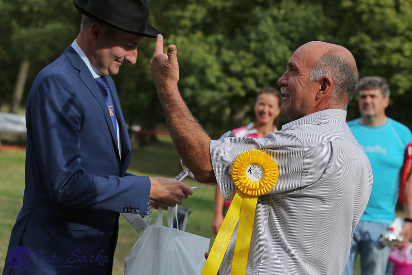 Heřmanův Městec 2018 - dekorování 