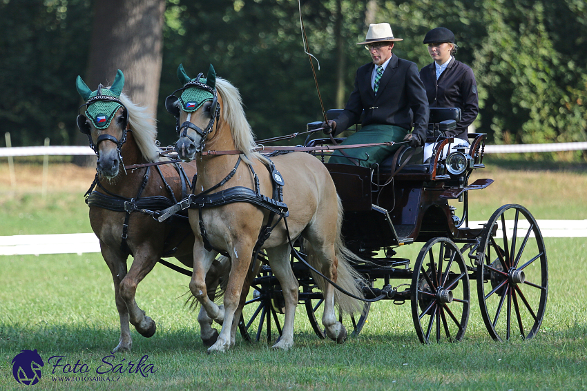 Heřmanův Městec 2018 - drezura