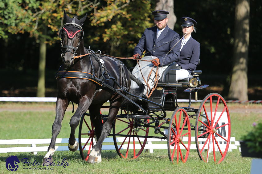 Heřmanův Městec 2018 - drezura