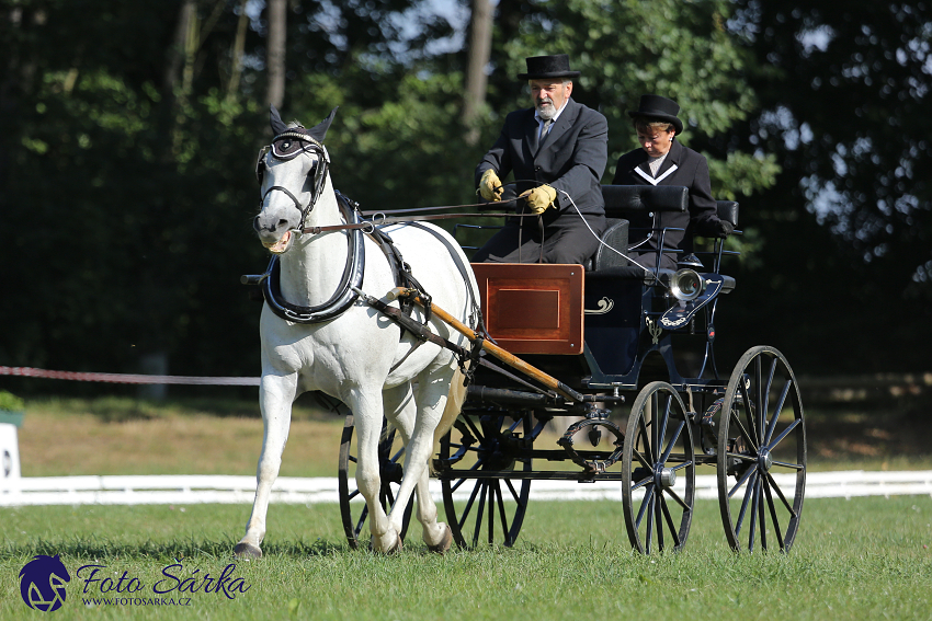 Heřmanův Městec 2018 - drezura