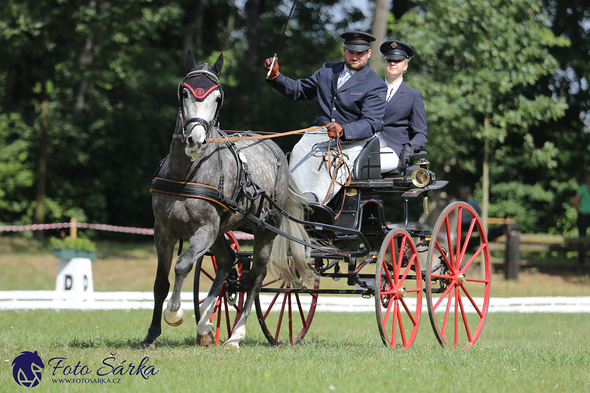 Heřmanův Městec 2018 - drezura