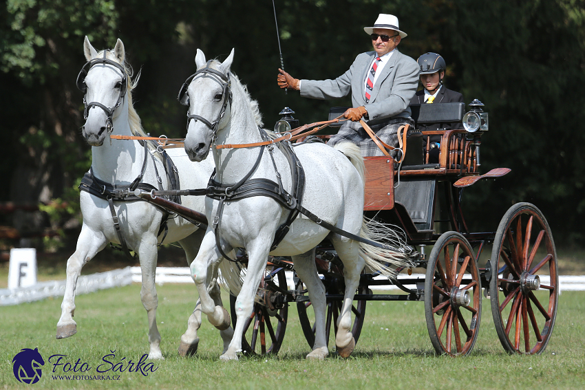 Heřmanův Městec 2018 - drezura