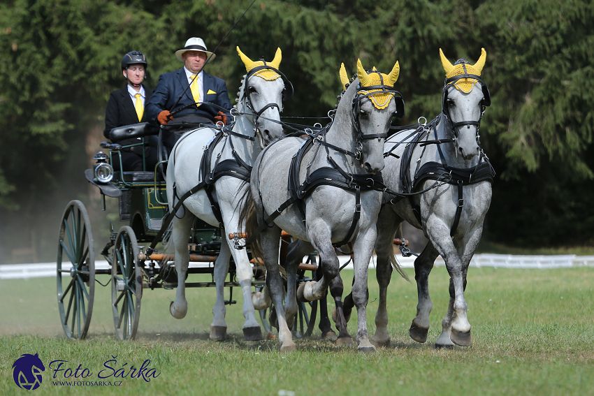 Heřmanův Městec 2018 - drezura