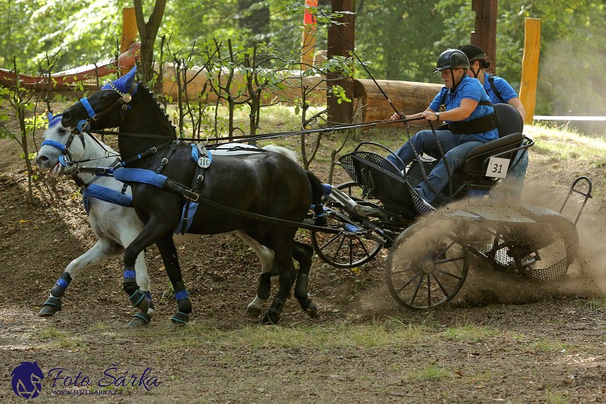 Heřmanův Městec 2018 - maraton