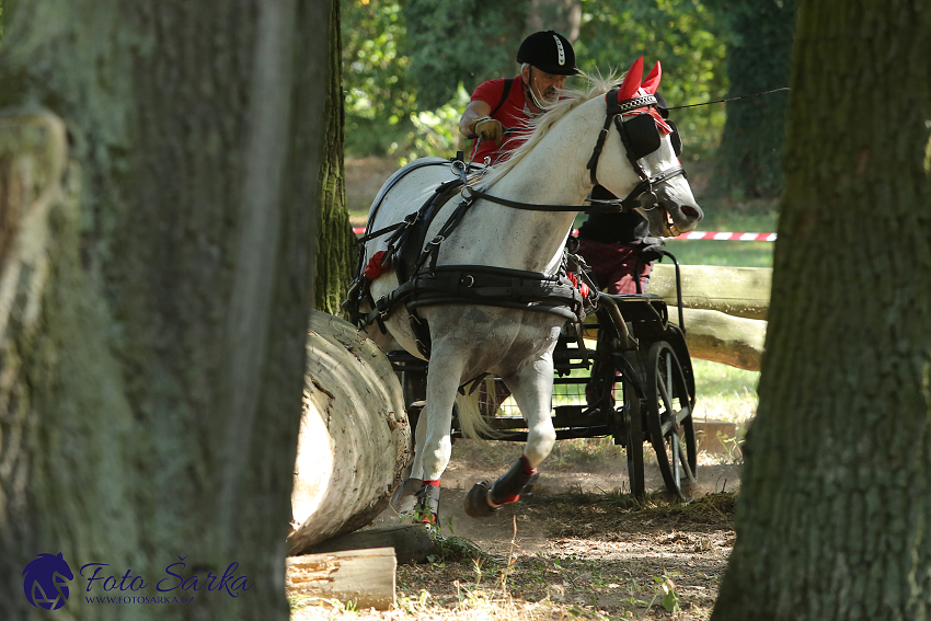 Heřmanův Městec 2018 - maraton