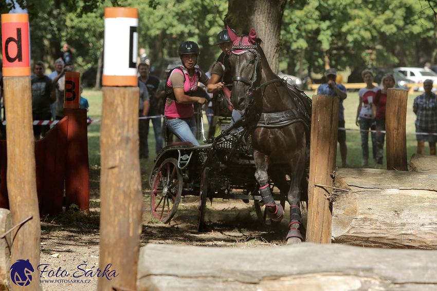 Heřmanův Městec 2018 - maraton