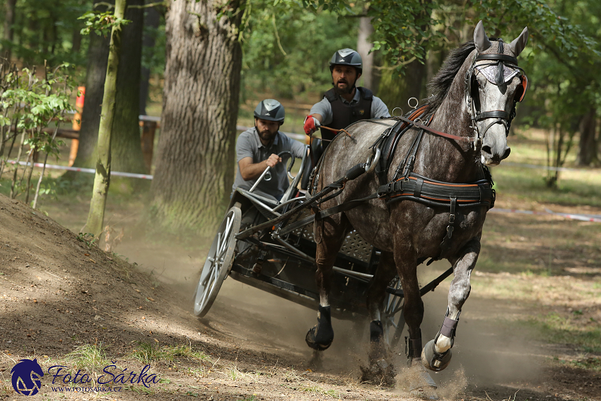 Heřmanův Městec 2018 - maraton