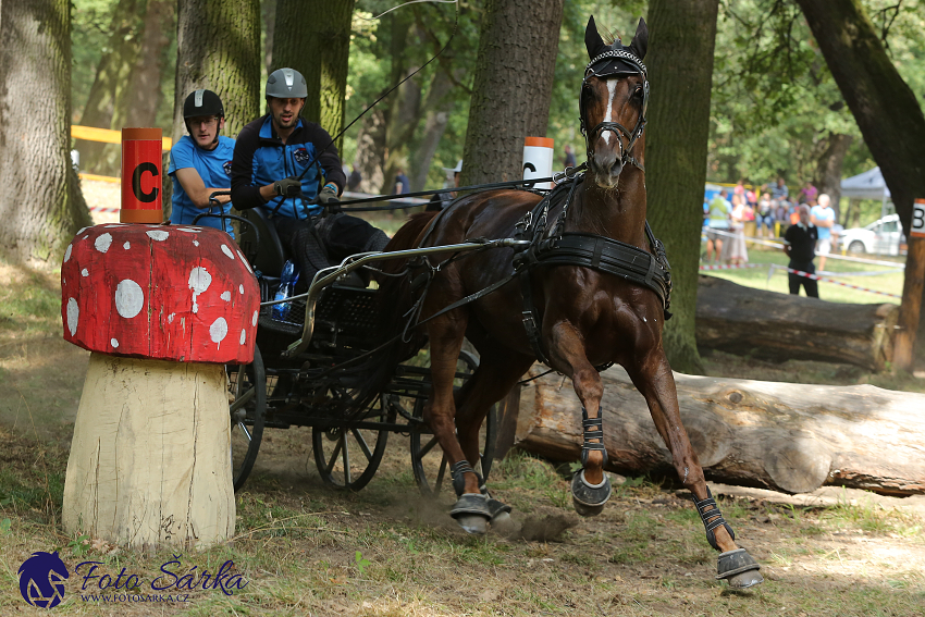 Heřmanův Městec 2018 - maraton