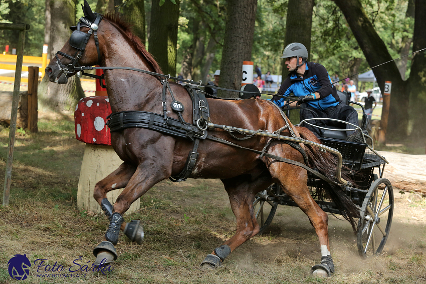 Heřmanův Městec 2018 - maraton