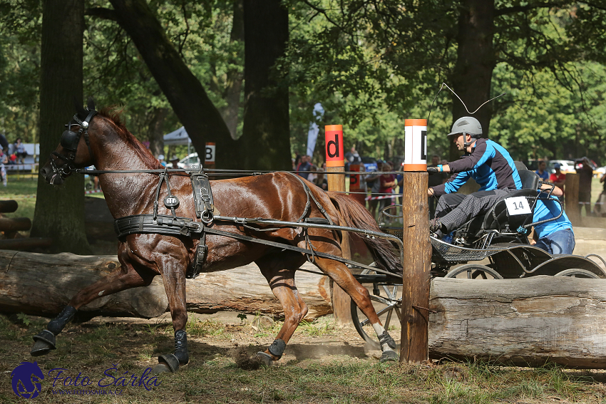 Heřmanův Městec 2018 - maraton