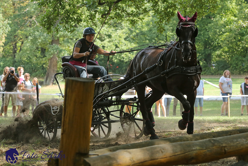 Heřmanův Městec 2018 - maraton
