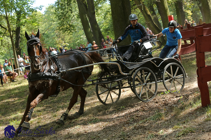 Heřmanův Městec 2018 - maraton