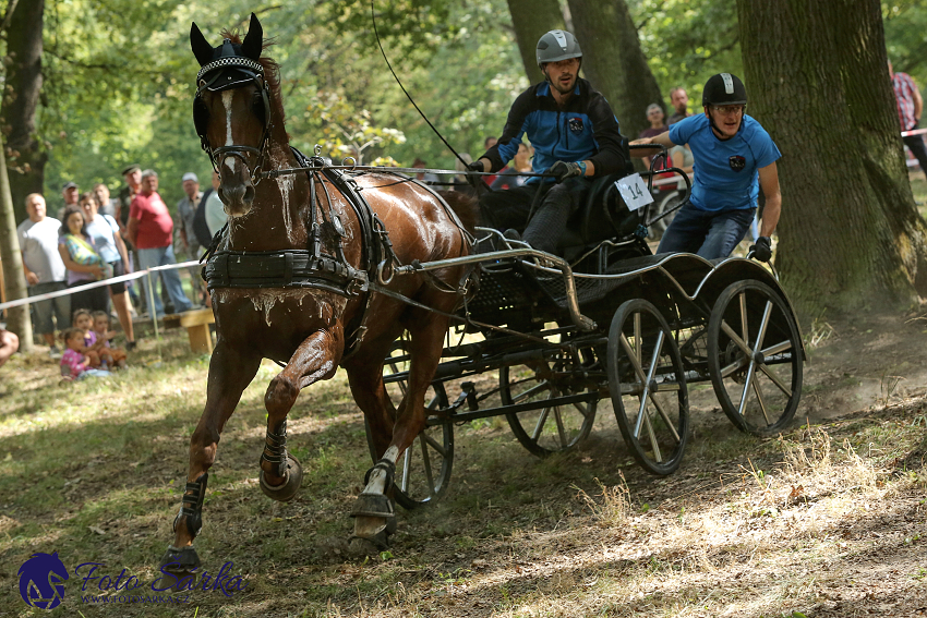 Heřmanův Městec 2018 - maraton