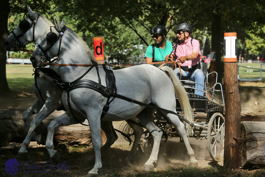 Heřmanův Městec 2018 - maraton