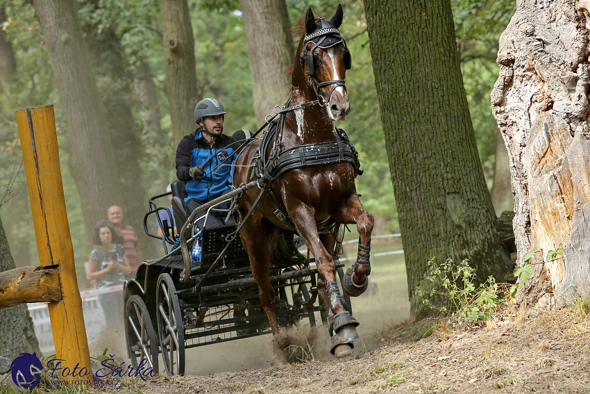Heřmanův Městec 2018 - maraton