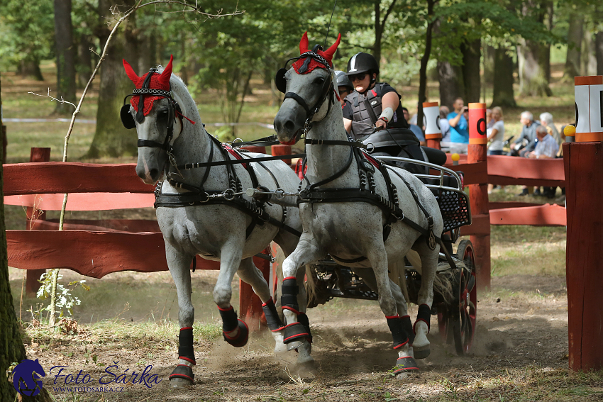 Heřmanův Městec 2018 - maraton
