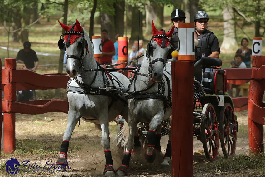 Heřmanův Městec 2018 - maraton