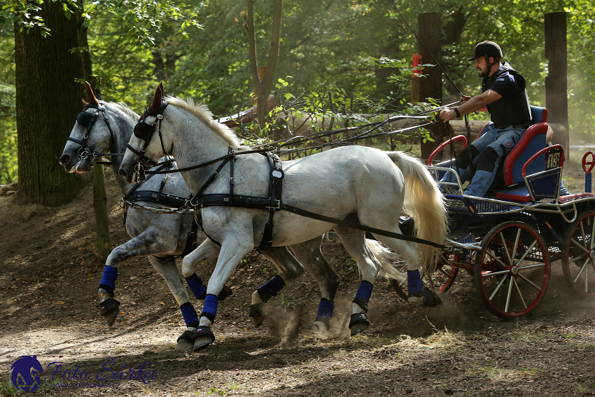 Heřmanův Městec 2018 - maraton