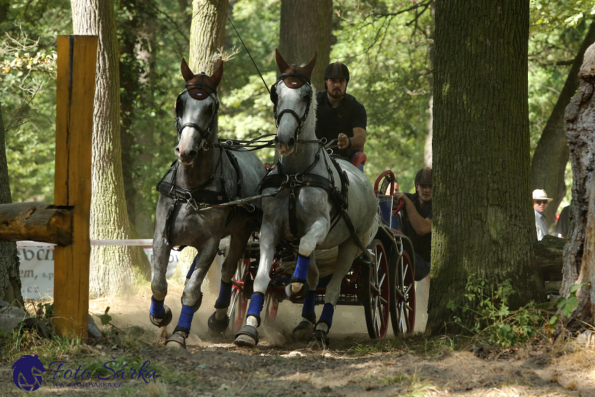 Heřmanův Městec 2018 - maraton