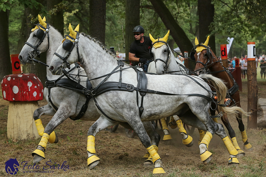 Heřmanův Městec 2018 - maraton