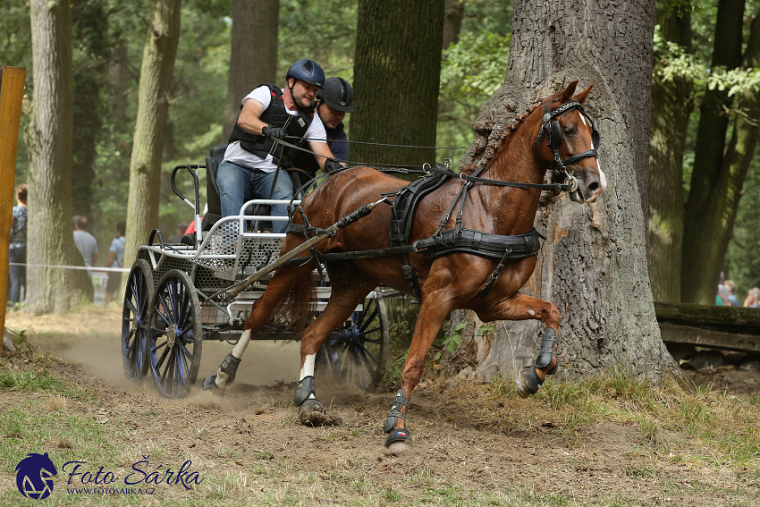 Heřmanův Městec 2018 - maraton