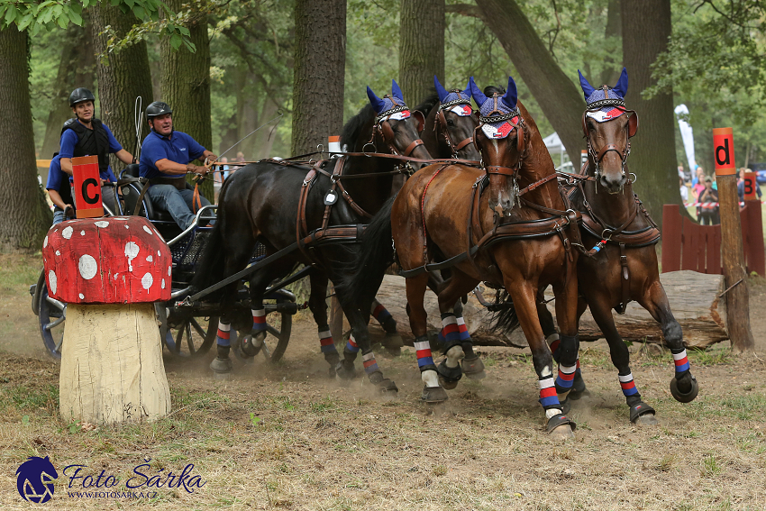 Heřmanův Městec 2018 - maraton