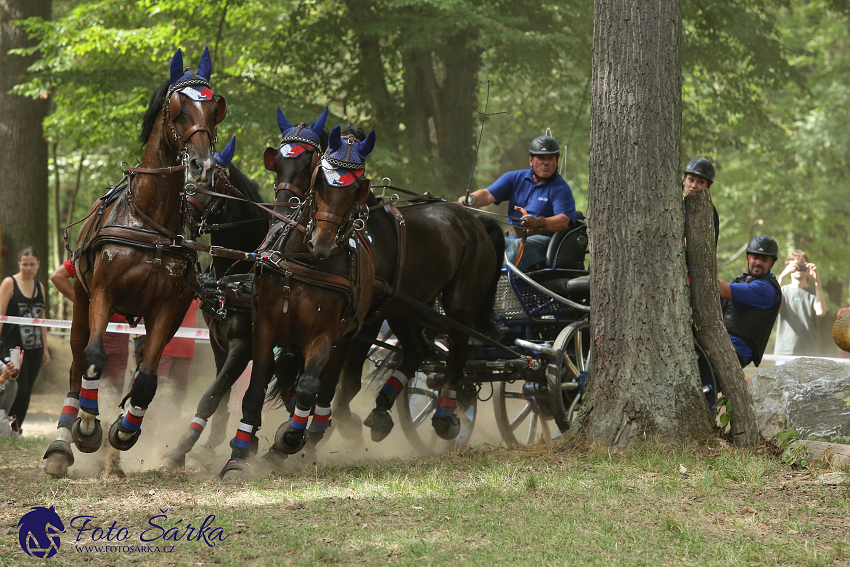 Heřmanův Městec 2018 - maraton