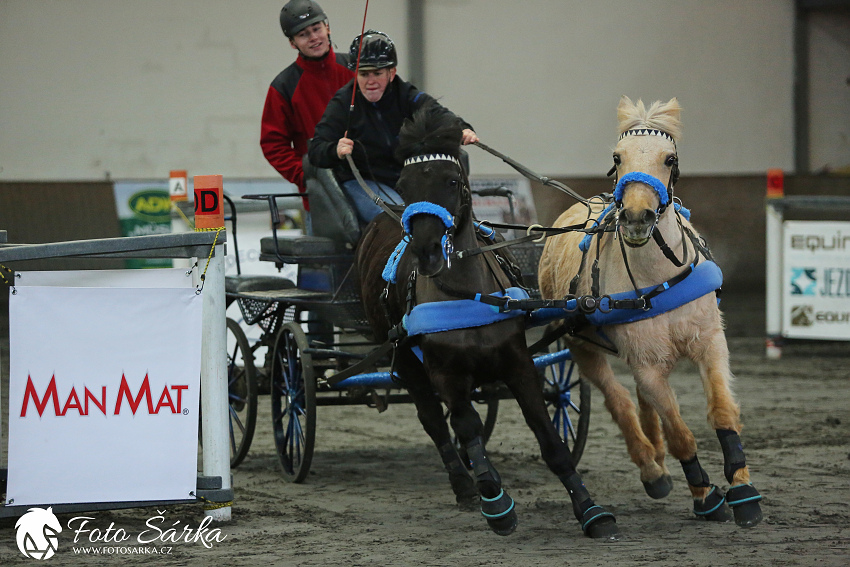 Hradištko 2019 - spřežení