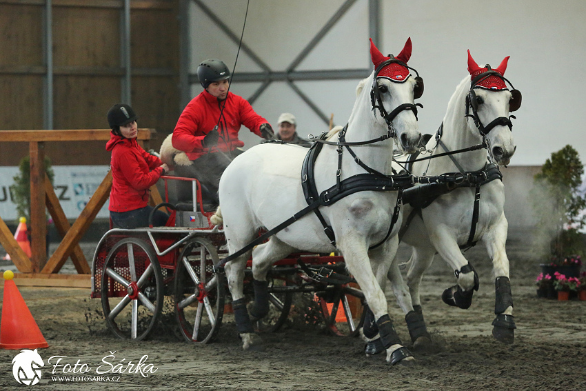 Hradištko 2019 - spřežení