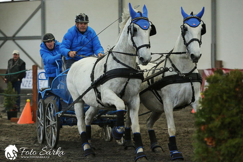 Hradištko 2019 - spřežení