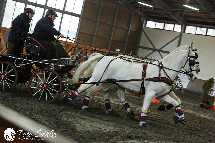 Hradištko 2019 - spřežení
