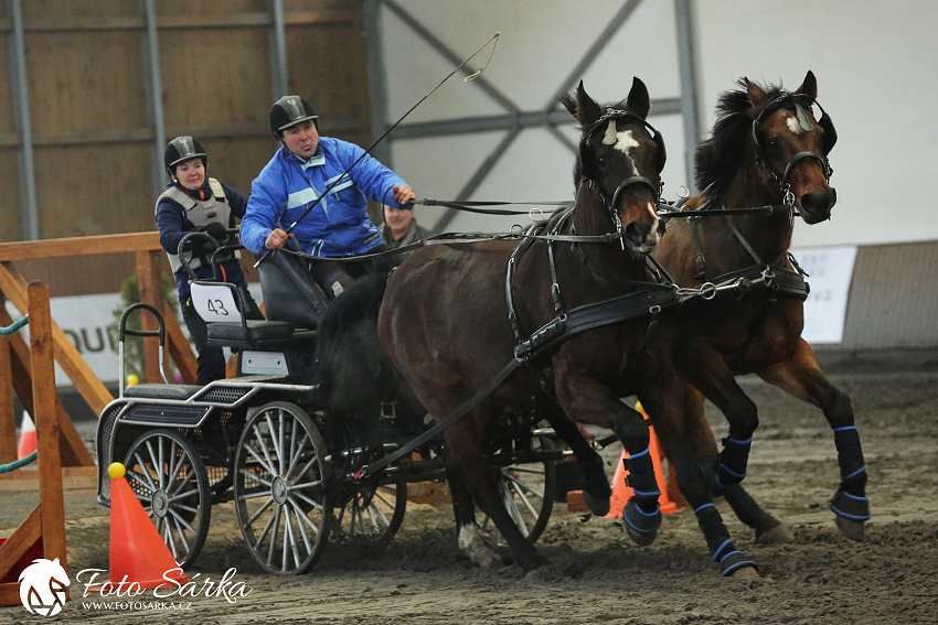 Hradištko 2019 - spřežení