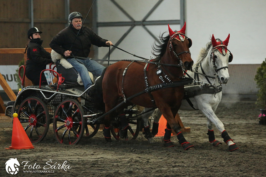 Hradištko 2019 - spřežení