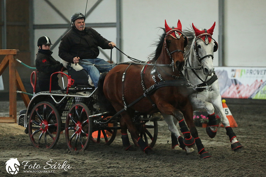 Hradištko 2019 - spřežení
