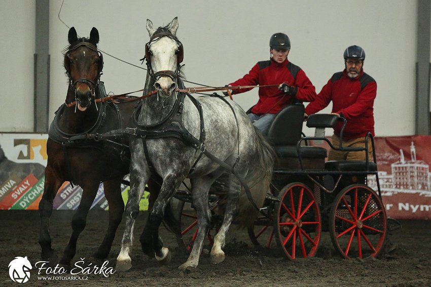 Hradištko 2019 - spřežení