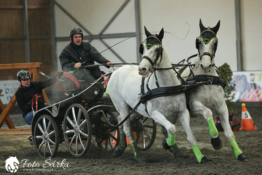 Hradištko 2019 - spřežení