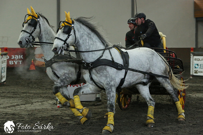 Hradištko 2019 - spřežení